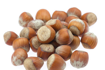 hazelnuts isolated on white