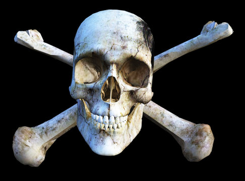 Skull and crossbones in 3D
