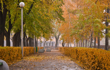 Autumn Park. Alley with yellow trees and fallen leaves.