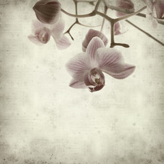 textured old paper background