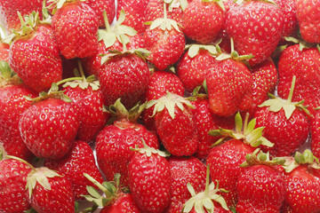fresh strawberry