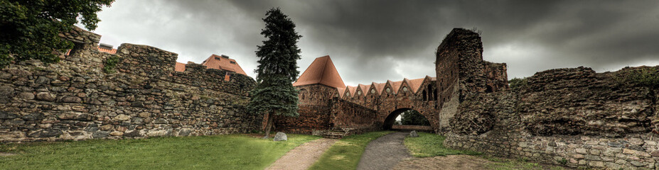 Panorama. Zabytkowy zamek w Toruniu