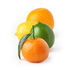 Tangerine, lemon, lime and orange isolated on white background