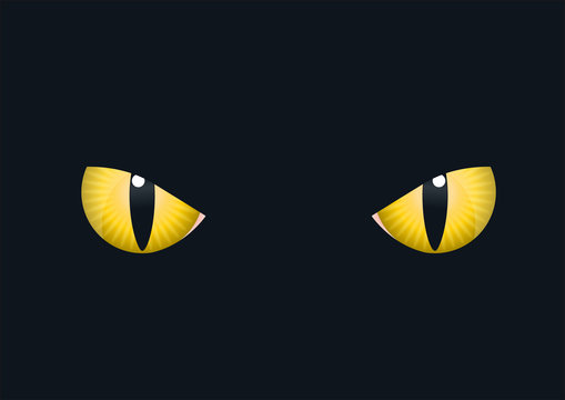 Oeil_Chat