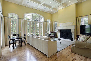 Family room with fireplace