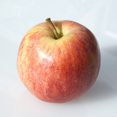 Gala; Apfel; Malus domestica