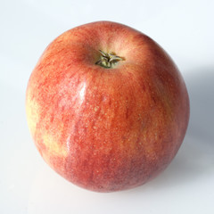 Gala; Apfel; Malus domestica