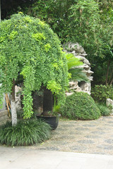 Decorative alley
