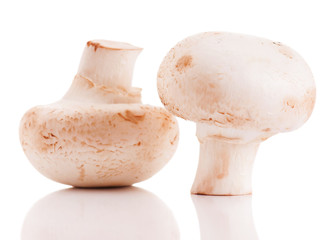 Champignons