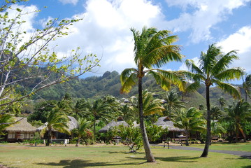 Casas en Moorea