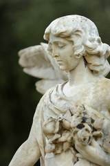 Fototapeta premium angel