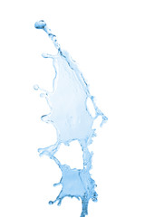 water splash isolated on the white background