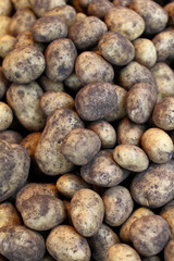Kartoffeln Ernte - 27564496