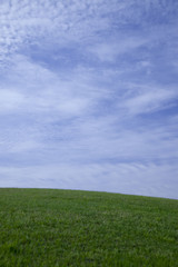 Fototapeta na wymiar 緑の丘と雲