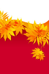 autumnal leaves on red background