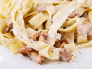 fettuccine with chanterelle