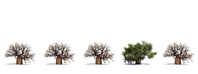 High resolution green 3D conceptual baobab trees row
