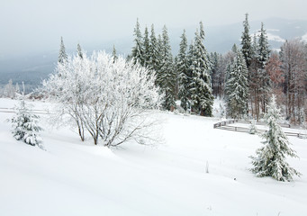 Fototapeta na wymiar winter country mountain landscape
