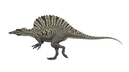 Dinosaurier Spinosaurus
