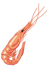 langostino, marisco crustáceo