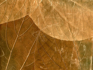paper