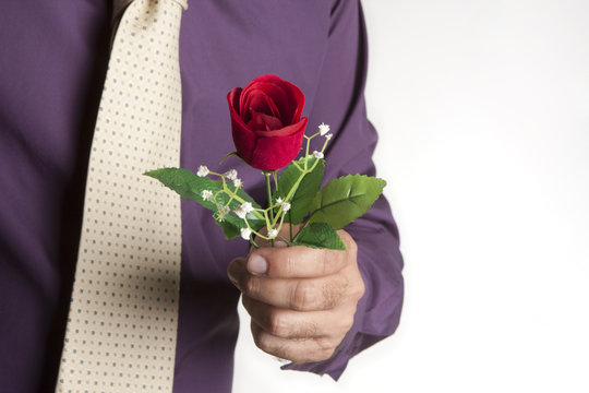 te regalo una rosa
