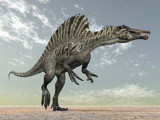 Obraz na płótnie Canvas Spinosaurus