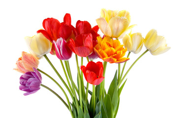 Beautiful bouquet of tulips
