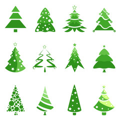 pine tree for christmas