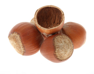 Hazelnuts isolated on white