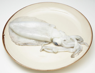 白イカ