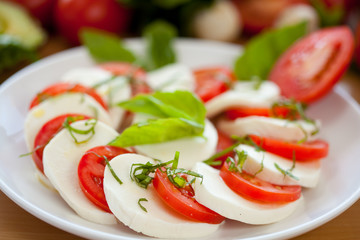 Mozzarella and Basil and Tomato 1
