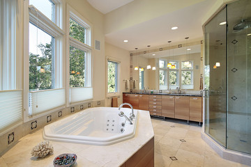 Master bath with large glass shower