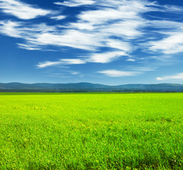 Obraz premium landscape