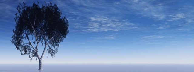 High resolution conceptual banner with a tree