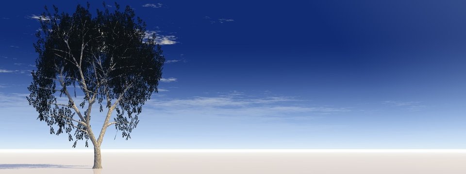 High resolution conceptual banner with a tree