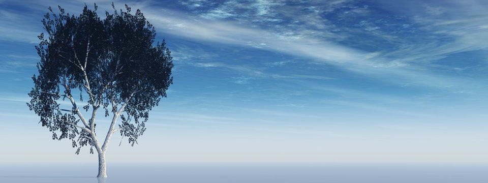 High resolution banner with a remote tree