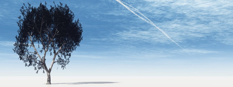 High resolution 3D tree over a blue sky