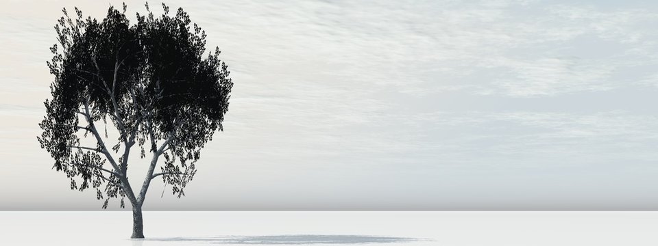 High resolution conceptual banner with a tree