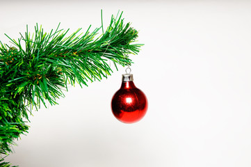 Christmas ball on green christmas tree isolated