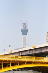 Naklejka premium Tokyo sky tree