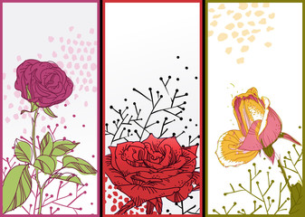 vector  set of 3 floral cards with blooming roses