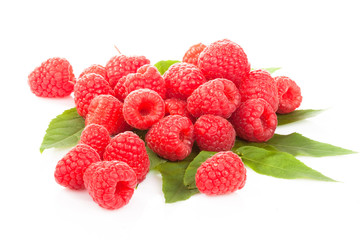Many beautiful raspberries on green fresh leaves