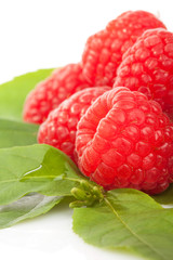 Beautiful raspberries on fresh green leaf