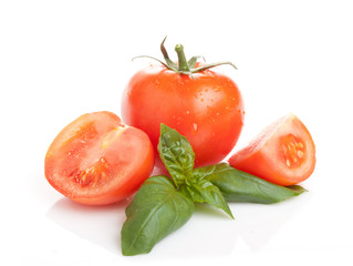 Red wet tomatos and basil leaves on white background