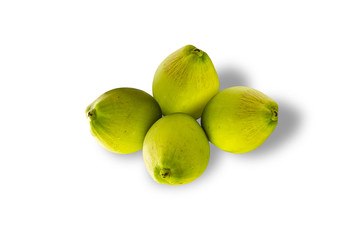 Coconut isolated