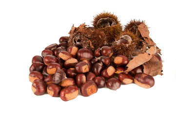 chestnuts with leaves on white