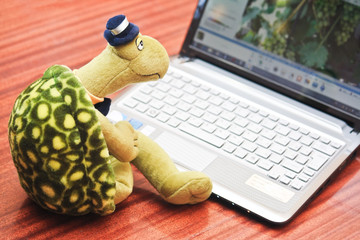 Fototapeta premium Toy turtle sits in front of netbook