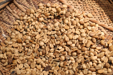 exposition des fèves de café 