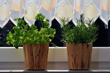 Fresh herbs